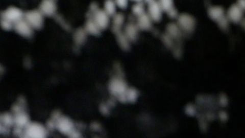 02/12/18 / LOS ANGELES/ Senior couple Mauro and Cuca Castaneda celebrate 71 years of marriage. (Photo by Aurelia Ventura/La Opinion)