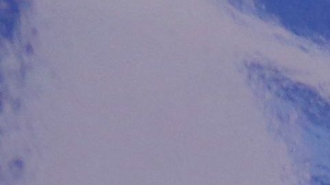 Nueva York y sus habitantes en el dia de las primarias.
Photo Credito Mariela Lombard/El Diario NY.