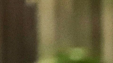 “Dinho” esperará la resolución de la investigación bajo arresto domiciliario en el Hotel Palmaroga.