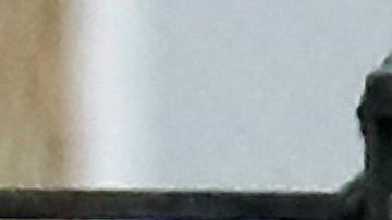 La recomendación buscaría evitar la propagación de COVID-19.