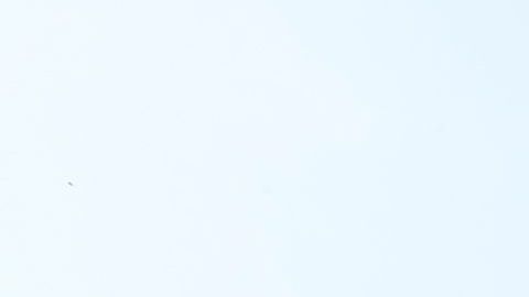 10/18/19 /LOS ANGELES/Amoeba Music in Hollywood (Aurelia Ventura/La Opinión)