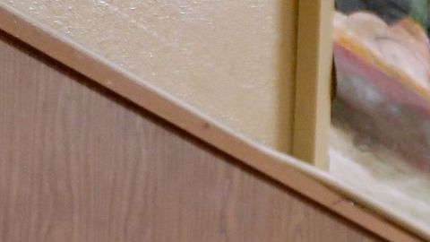 Las elecciones de noviembre llevaron a millones a las urnas.