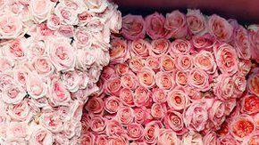 Gwyneth Paltrow enmarcada por una representación de una vulva hecha con rosas para el lanzamiento de su serie The Goop Lab.