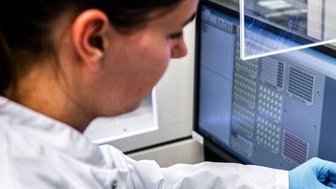 Medicamentos como la hidroxicloroquina y remdesivir han probado tener una actividad contra el virus.