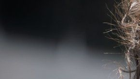 El personal médico en Estados Unidos también reclama protección.