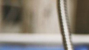 111823076_6f050b5c-b412-4530-bde6-be2586a047d1