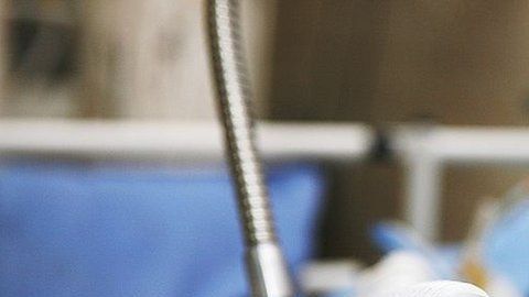 111823076_6f050b5c-b412-4530-bde6-be2586a047d1