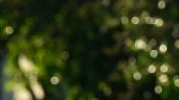 111827678_fa5e58c3-50cc-4898-bd60-5bd85f000b8c