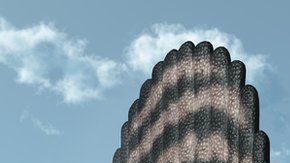 111974460_e0d034c5-c1b2-4019-b8ac-ef551a1e6081