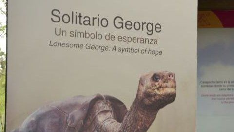 Coronavirus en Ecuador