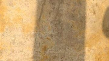 Haney tiene un récord de 24 victorias y cero derrotas, con 15 nocauts.