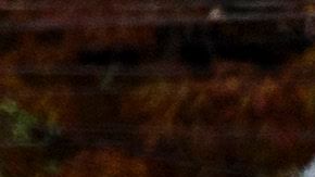 Autoridades investigan el tiroteo ocurrido en una escuela en Townville, Carolina del Sur.