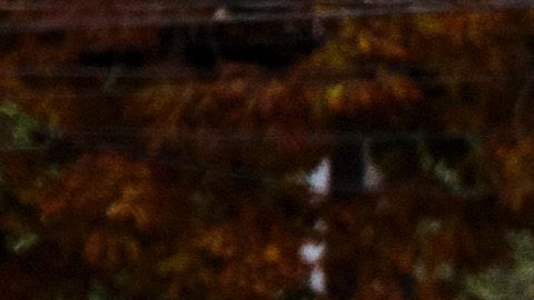 Autoridades investigan el tiroteo ocurrido en una escuela en Townville, Carolina del Sur.