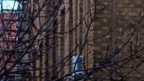 Coronavirus Nueva York