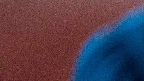 Los informes clasificados llegarían en enero y febrero al escritorio del presidente.