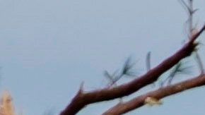 Tornados mataron la semana pasada a unas 34 personas en el sur del país.