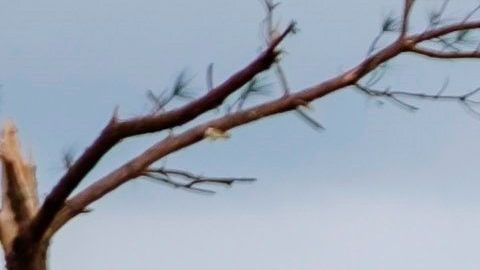Tornados mataron la semana pasada a unas 34 personas en el sur del país.