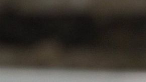 Se desconocen qué equipos están interesados por el mexicano