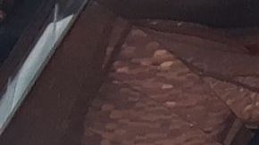 Luto y desolación en Nueva York