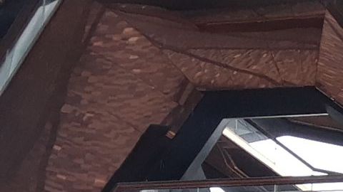 Luto y desolación en Nueva York