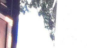 Times Square luce irreconocible sin peatones