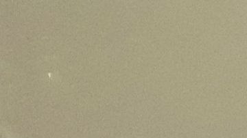 NYPD ante un gran dilema por el coronavirus.