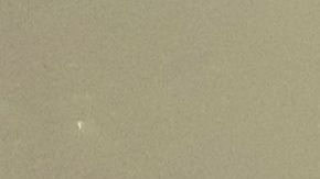 NYPD ante un gran dilema por el coronavirus.