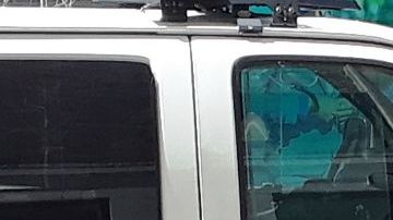 NYPD no ha anunciado arrestos