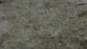 El sospechoso ataca a sus víctimas con un machete en dos barrios del noroeste de Chicago.