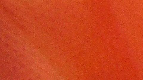 Hay supuestos tests anticuerpos que no se han validado.