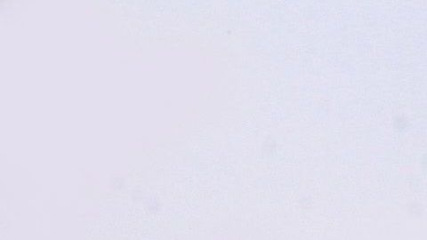 De la famosa casa de Luis Miguel en Acapulco ya solo quedan recuerdos.