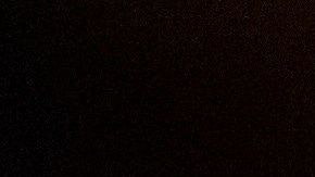 Trump ha atacado desde el principio la solicitud demócrata de sus finanzas.