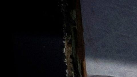 El nuevo contagiado vive cerca de San Francisco, que declaró estado de emergencia.