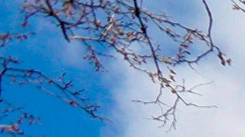 La cadena tiene 12 hospitales en la ciudad de Nueva York, Long Island y el condado de Westchester.