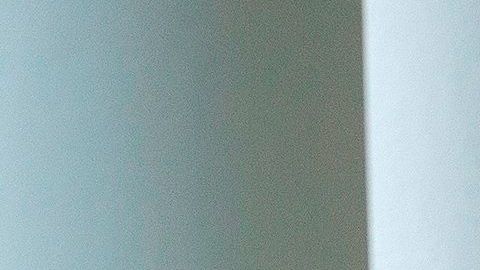 Trump ya había amenazado con cortar los fondos a la OMS.