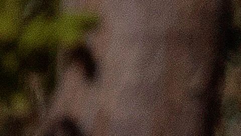 Un especialista realiza la recolección de una muestra nasal en un centro de pruebas móviles de Estados Unidos.