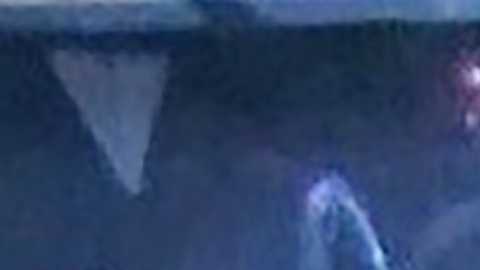 El sospechoso había hecho que su auto pareciera de la flota de la policía canadiense.