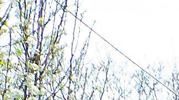 El paquete ampliaría el programa de préstamos a pequeñas empresas.