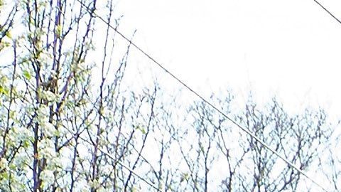 El paquete ampliaría el programa de préstamos a pequeñas empresas.