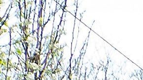 El paquete ampliaría el programa de préstamos a pequeñas empresas.