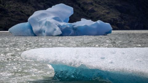 Témpanos producto de la fractura del milenario glaciar Grey.