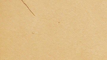 "El Chapo" escuchó el contundente argumento de la ayudante de la Fiscalía.