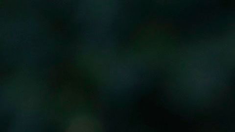 Fauci adelantó que la situación en otoño sería "completamente diferente".