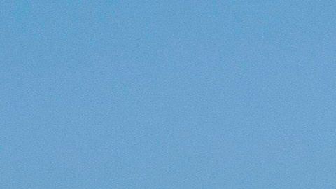 Miles de personas visitaron las playas del Orange County en California.