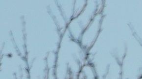 Nueva York es el estado más golpeado por el coronavirus.