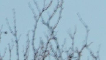 Nueva York es el estado más golpeado por el coronavirus.