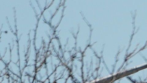 Nueva York es el estado más golpeado por el coronavirus.