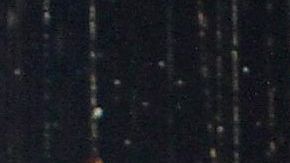 Angelique Boyer y Sebastián Rulli