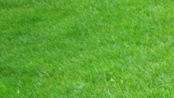 Una piscina elevada de Amazon.