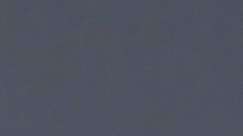 María Celeste Arrarás.